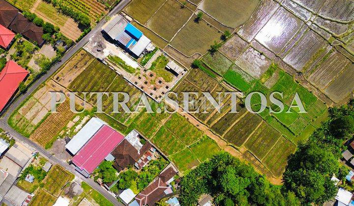 Land For Lease North Canggu Buduk Ricefield View 3