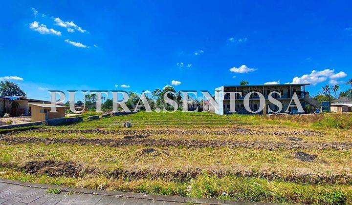 Land For Lease North Canggu Buduk Ricefield View 8