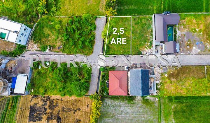 Tanah Pantai Kedungu Lingkungan Villa View Sawah 1
