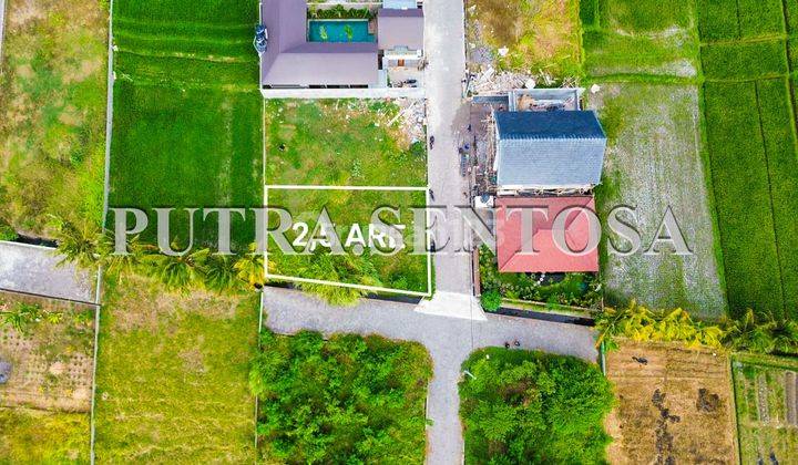Tanah Pantai Kedungu Lingkungan Villa View Sawah 2