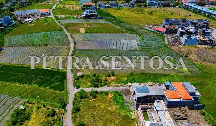 Tanah Canggu Batubolong View Sawah 2