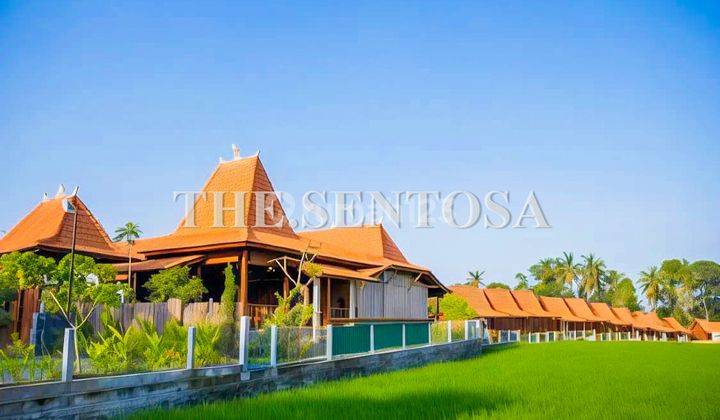 Complex Villa Homestay Seseh Beach Badung Bali 2