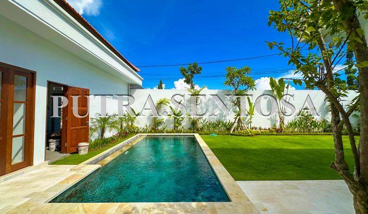 Villa Canggu Brand New Babakan Padang Tawang 2