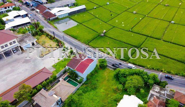 Land Seminyak Kunti Main Road 2