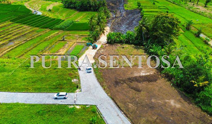 Tanah Dekat Canggu Pantai Kedungu Full View 4