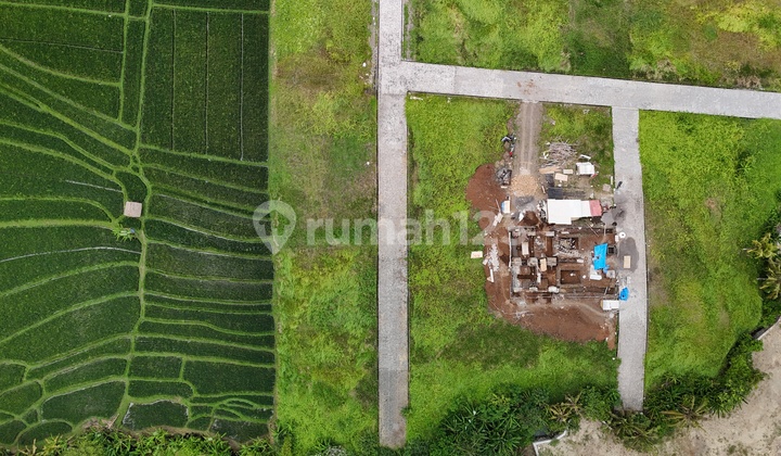 Tanah Canggu Kedungu Nuanu Luna Beach Club Tanah Canggu Kedungu Nuanu Luna Beach Club