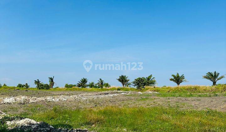 10 Menitan Canggu Pererenan Tanah Kedungu Beach 7