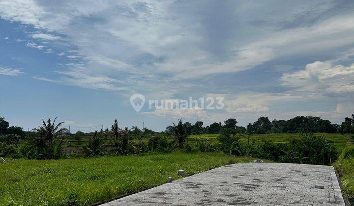 JUAL TANAH DEKAT CANGGU PANTAI KEDUNGU BALI 4