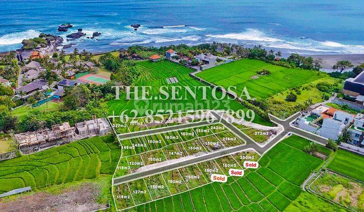 Tanah Cemagi Termurah View Sawah Dan Ocean View 1