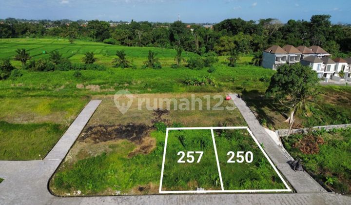 Kedungu Beach Land Ready to Build Villa with Heaven-Like View