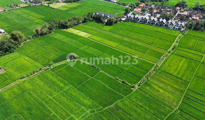LAND IN KEDUNGU NEAR CANGGU NUANU LUNA BEACH CLUB