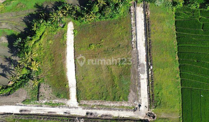  Tanah Beraban Kedungu Lingkungan Mewah View Sawah Paling Murah 6