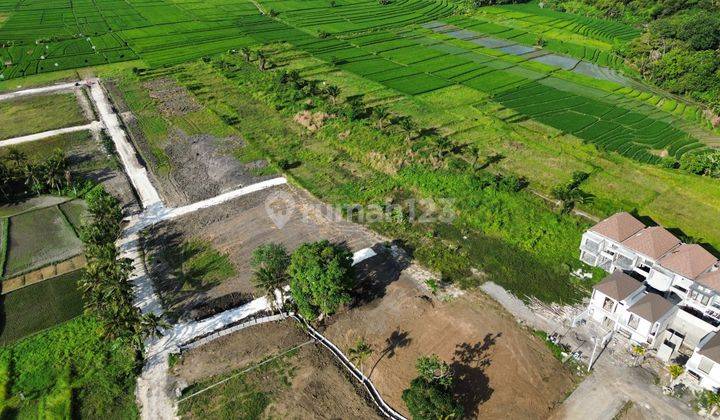 Tanah Dekat Pererenan Kedungu di Kelilingi View 5