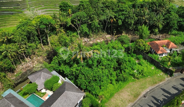 Tanah Seseh Cemagi Los Sungai Siap Bangun Villa Mewah