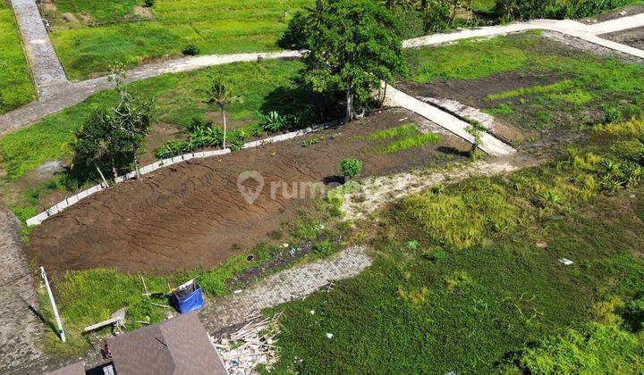 Kedungu Beach Land Surround By The View 6