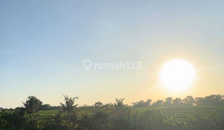  Tanah Beraban Kedungu Lingkungan Mewah View Sawah Paling Murah 13