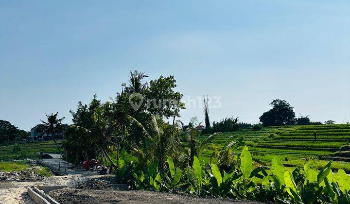  Tanah Beraban Kedungu Lingkungan Mewah View Sawah Paling Murah 14