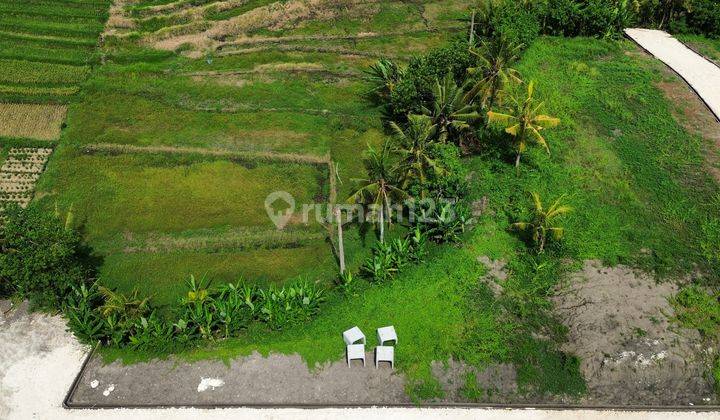 Tanah Luna Beach Club Kedungu 4