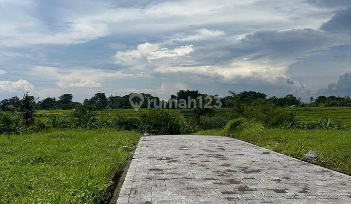 JUAL TANAH DEKAT CANGGU PANTAI KEDUNGU BALI 11