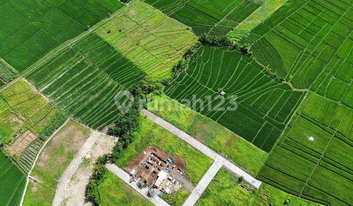 LAND IN KEDUNGU NEAR CANGGU NUANU LUNA BEACH CLUB