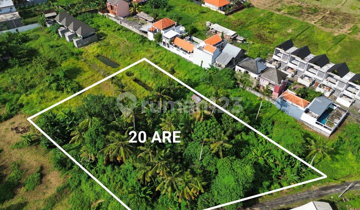 LAND FOR LEASE – NYANYI LUNA BEACH CLUB LAND FOR LEASE – NYANYI LUNA BEACH CLUB