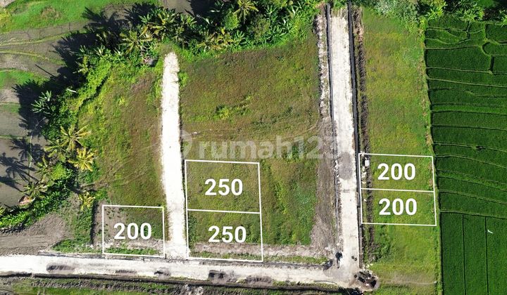 Tanah Kavling VILLA dekat NYANYI CEMAGI PERERENAN CANGGU