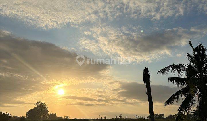 Tanah Canggu Pererenan Pantai Kedungu 5