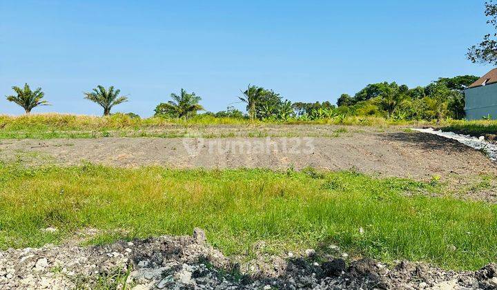 Best Deal Land For Sale Nyanyi Kedungu Ricefield View 2