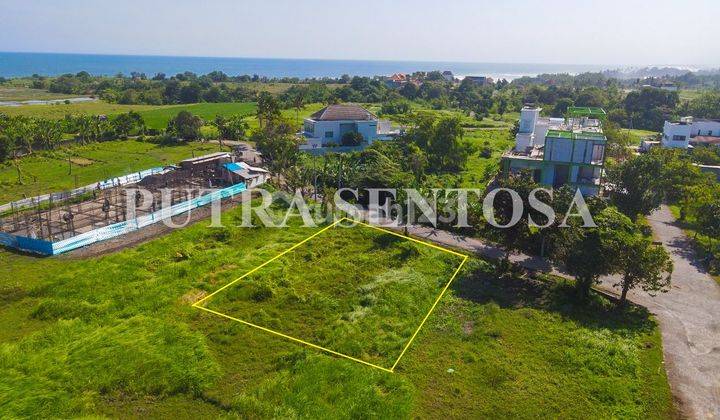 Premium Land Kedungu View Rice Fields Close to the Beach 1