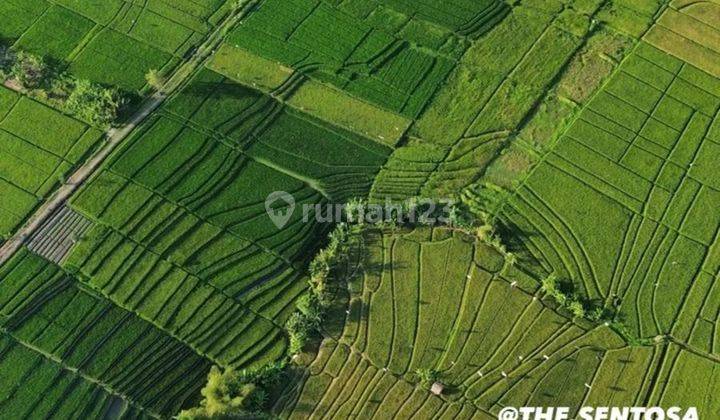 Tanah  Dekat Canggu, Pererenan, Cemagi, Nyanyi Beraban 2