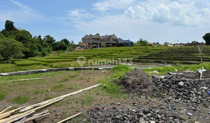 Canggu Jual tanah kavling villa dekat canggu 1