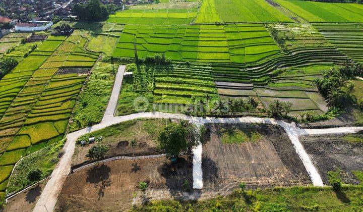 Tanah Dekat Pererenan Kedungu di Kelilingi View 7