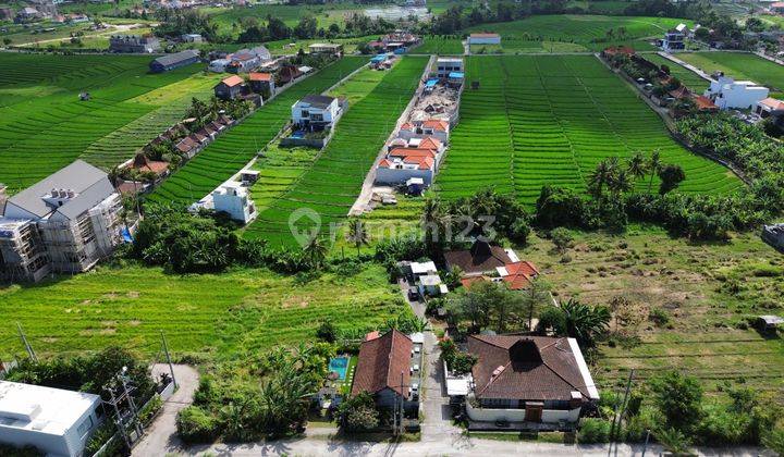 Pererenan Land Near Beach Luxurious Environment Rice Field View Cheapest 7