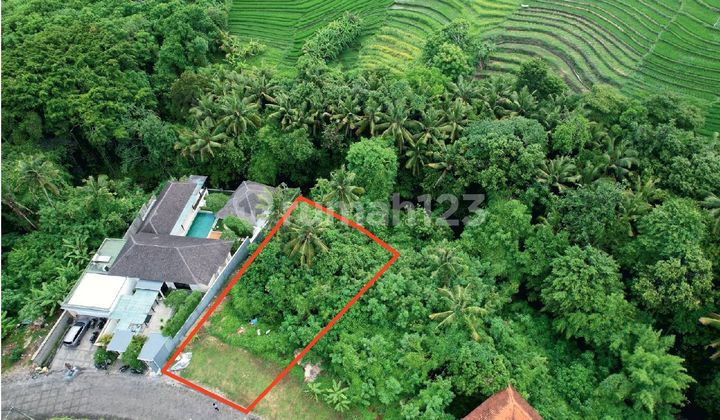 Tanah Greenlot Munggu Los Sungai Siap Bangun Villa Mewah