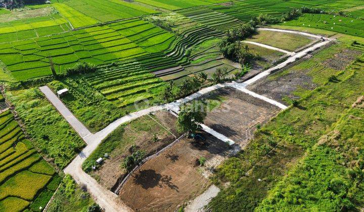 Tanah Dekat Pererenan Kedungu di Kelilingi View 2