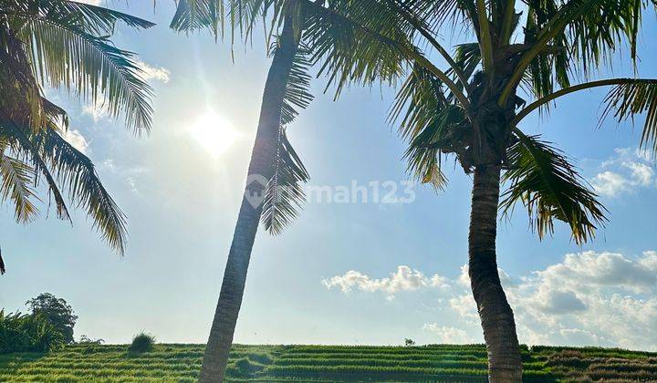 Tanah Canggu Pererenan Pantai Kedungu 7