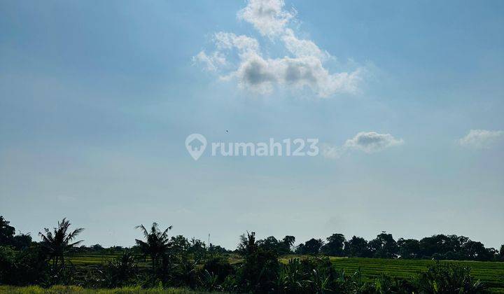 Tanah Dekat Luna Beach Nuanu Kedungu Full View Heaven 7