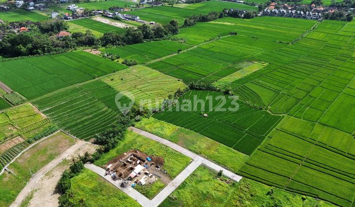 TANAH COCOK UNTUK VILLA DEKAT CANGGU PERERENAN