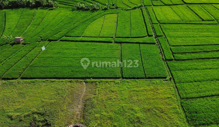 Tanah Canggu Pererenan Pantai Kedungu 10