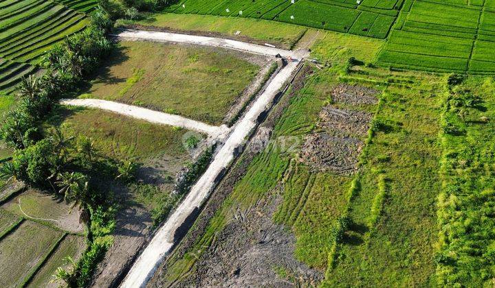 Tanah Pererenan Nyanyi 300m2 Kedungu Siap Bangun 1