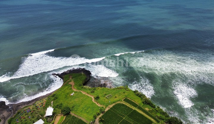 Tanah Pantai Kedungu Ocean View Paling Murah