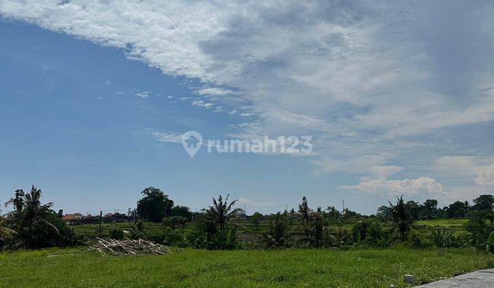 JUAL TANAH DEKAT CANGGU PANTAI KEDUNGU BALI 7