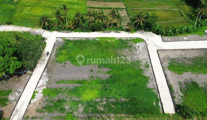 Dijual Tanah Kedungu  2