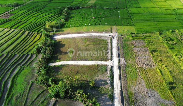 Tanah Kavling Villa Dekat Canggu, Pererenan, Cemagi, Nyanyi, Pantai Kedungu 3