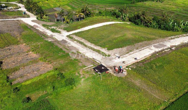 Tanah Canggu Pererenan Pantai Kedungu 13