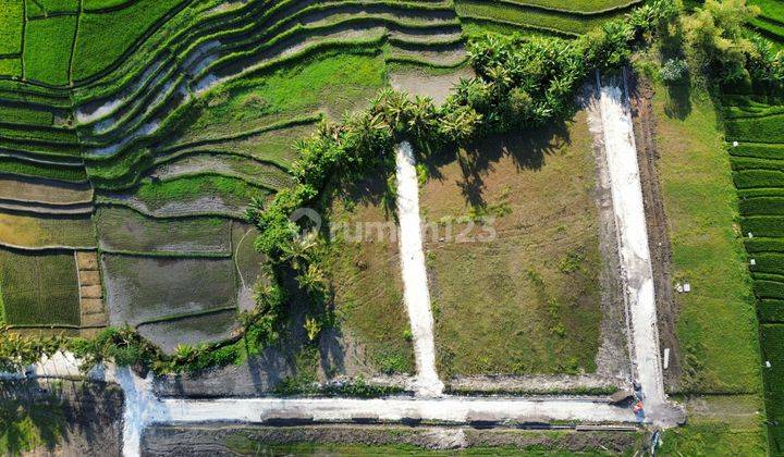 Tanah Kavling Villa Dekat Canggu, Pererenan, Cemagi, Nyanyi, Pantai Kedungu 5