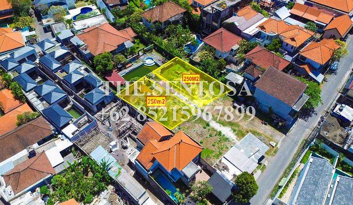 Tanah Umalas Kuwum For Sale Freehold 1