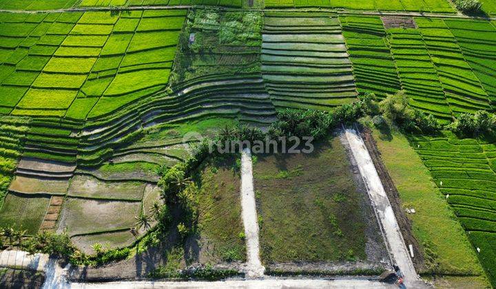 Tanah Kavling Villa Dekat Canggu, Pererenan, Cemagi, Nyanyi, Pantai Kedungu 4