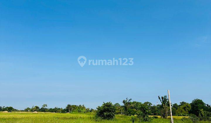 Tanah Dekat Luna Beach Nuanu Kedungu Full View Heaven 3