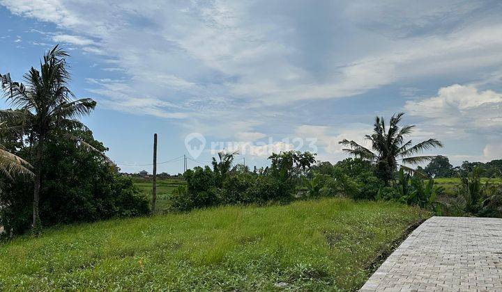 JUAL TANAH DEKAT CANGGU PANTAI KEDUNGU BALI 9